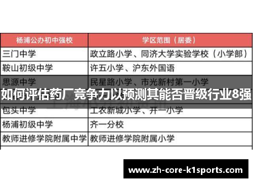 如何评估药厂竞争力以预测其能否晋级行业8强 如何评估药厂竞争力以预测其能否晋级行业8强